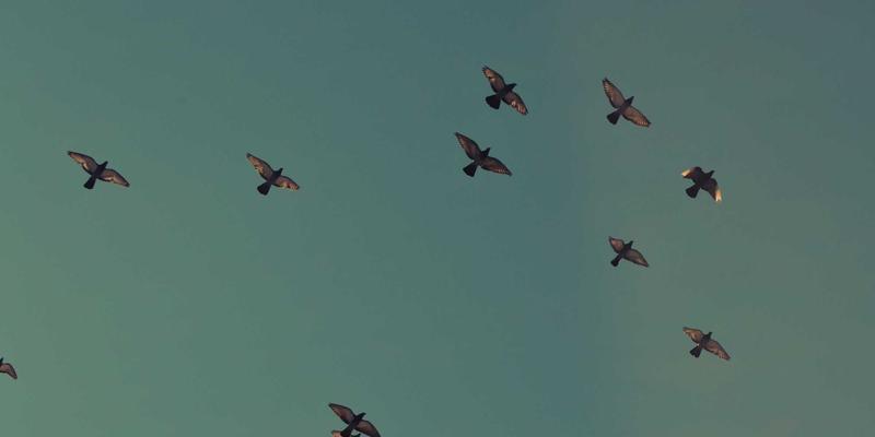 Site is created successfully! 接下来该做什么?从成功建站到有效运营的完整指南