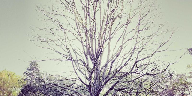 Site is created successfully! 网站创建成功后的关键步骤与优化指南